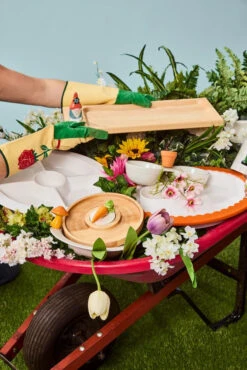 Double Dipper -Occasionally Yours Gifts nf pinstripes double dipper 3